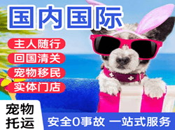 周水子机场货运国际宠物托运 【国
